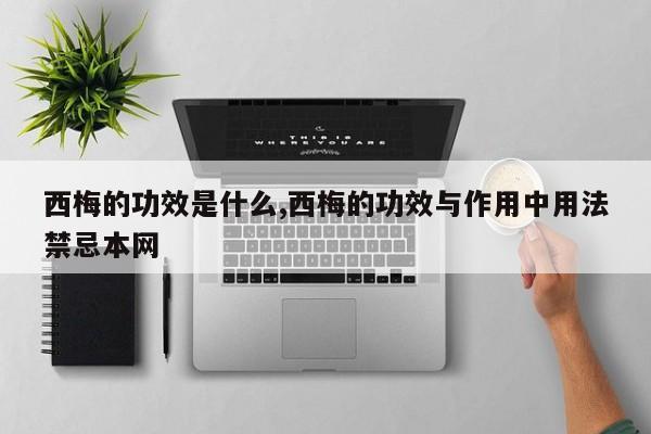 西梅的功效是什么,西梅的功效与作用中用法禁忌本网