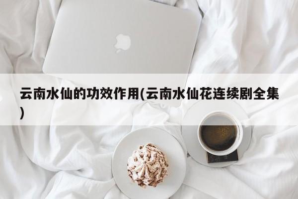 云南水仙的功效作用(云南水仙花连续剧全集)