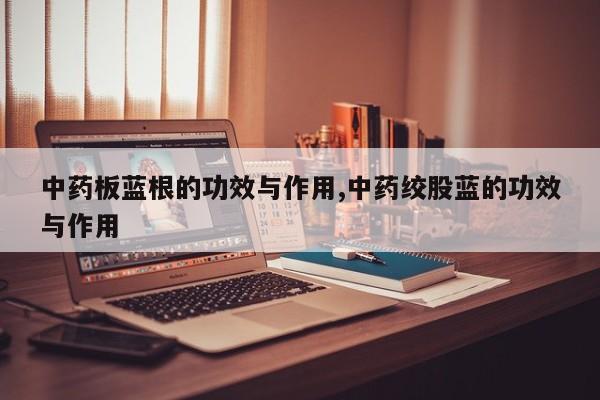 中药板蓝根的功效与作用,中药绞股蓝的功效与作用