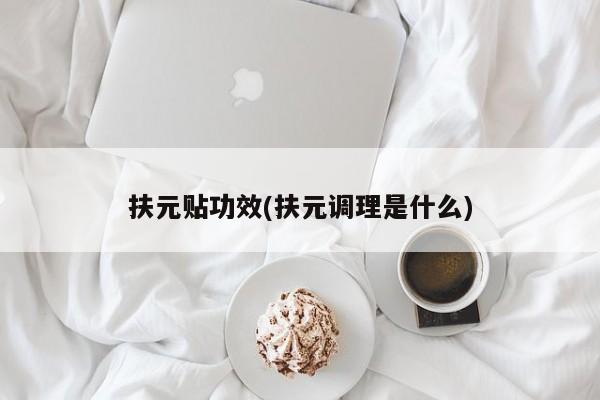 扶元贴功效(扶元调理是什么)
