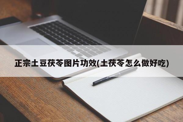 正宗土豆茯苓图片功效(土茯苓怎么做好吃)