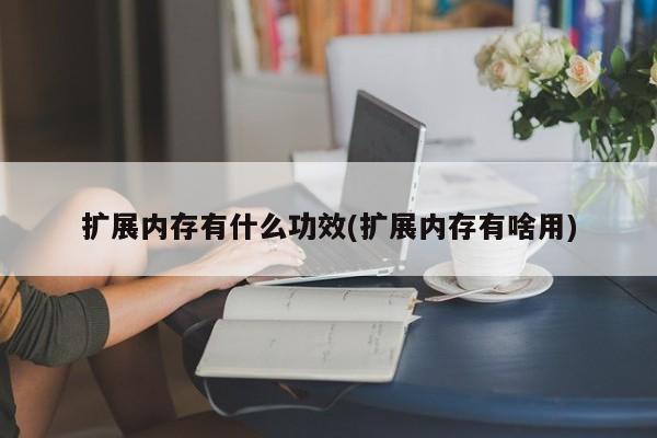 扩展内存有什么功效(扩展内存有啥用)