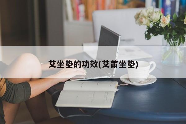 艾坐垫的功效(艾莆坐垫)