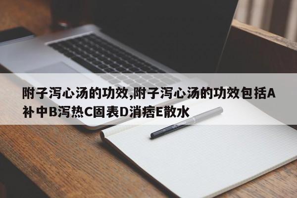 附子泻心汤的功效,附子泻心汤的功效包括A补中B泻热C固表D消痞E散水