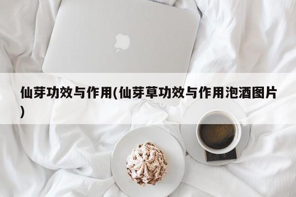 仙芽功效与作用(仙芽草功效与作用泡酒图片)