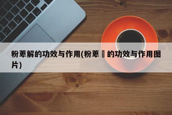 粉萆解的功效与作用(粉萆薢的功效与作用图片)