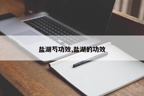 盐湖芍功效,盐湖的功效 第1张