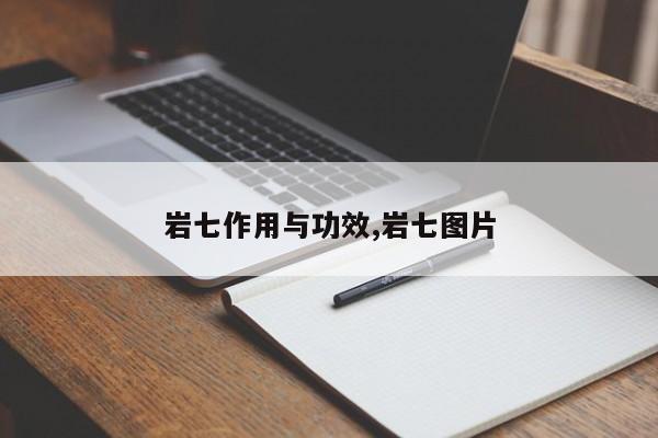 岩七作用与功效,岩七图片