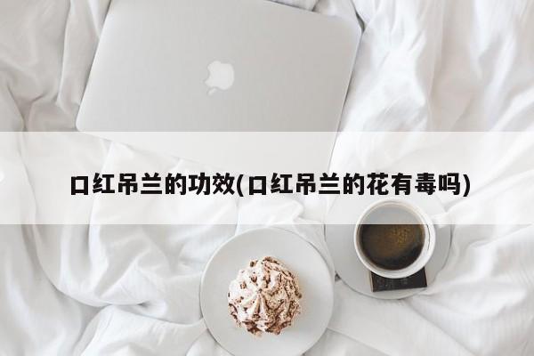 口红吊兰的功效(口红吊兰的花有毒吗)