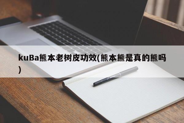 kuBa熊本老树皮功效(熊本熊是真的熊吗)