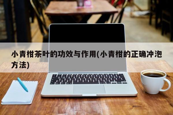 小青柑茶叶的功效与作用(小青柑的正确冲泡方法)
