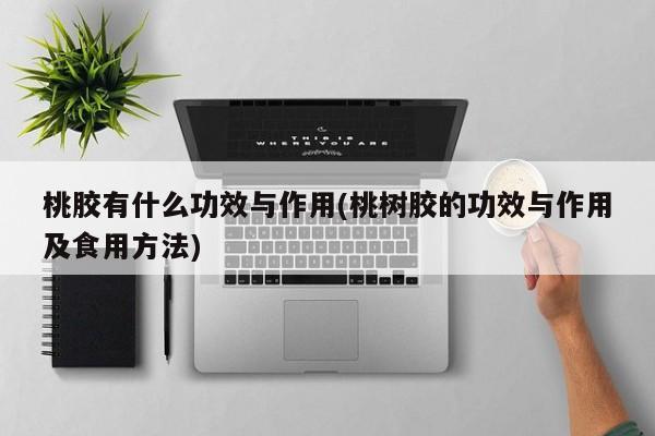 桃胶有什么功效与作用(桃树胶的功效与作用及食用方法)