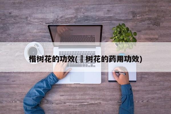 楷树花的功效(鉄树花的药用功效)