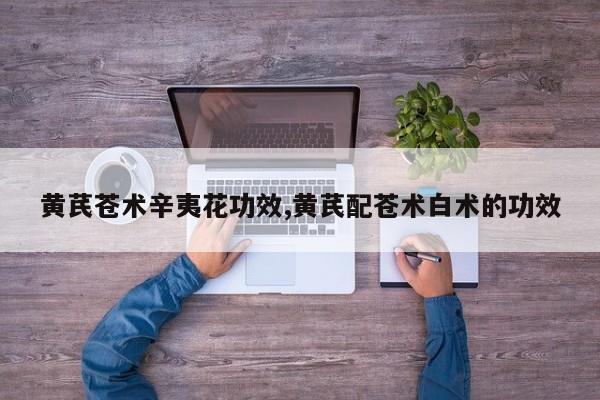 黄芪苍术辛夷花功效,黄芪配苍术白术的功效