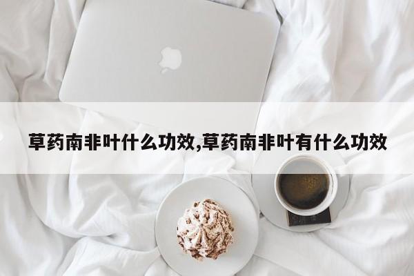 草药南非叶什么功效,草药南非叶有什么功效 第1张