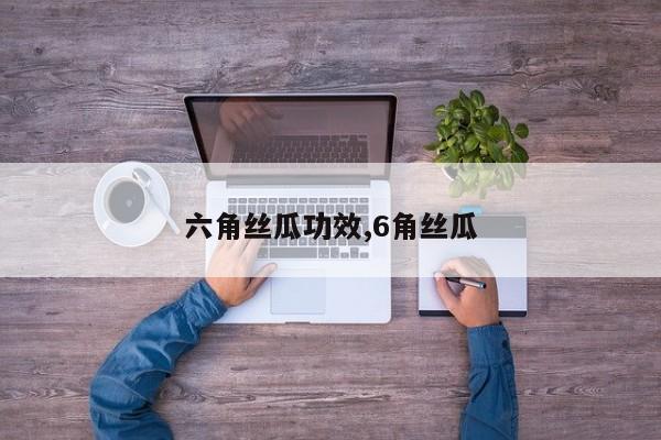 六角丝瓜功效,6角丝瓜