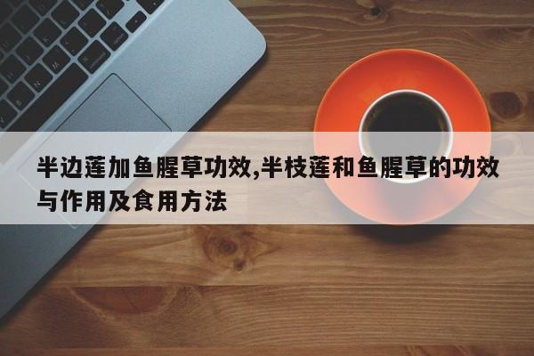 半边莲加鱼腥草功效,半枝莲和鱼腥草的功效与作用及食用方法