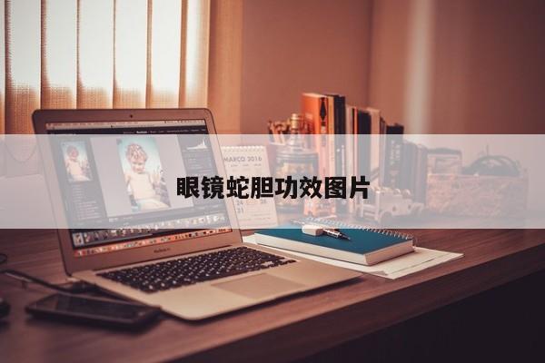 眼镜蛇胆功效图片