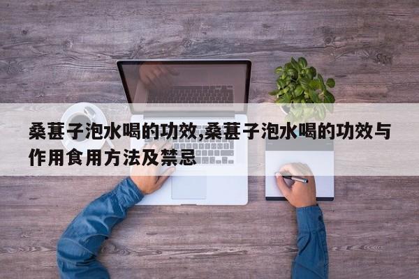 桑葚子泡水喝的功效,桑葚子泡水喝的功效与作用食用方法及禁忌