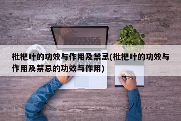 枇杷叶的功效与作用及禁忌(枇杷叶的功效与作用及禁忌的功效与作用)