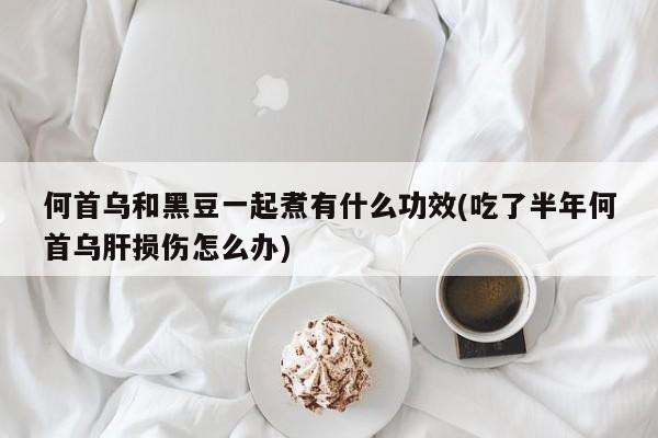 何首乌和黑豆一起煮有什么功效(吃了半年何首乌肝损伤怎么办)