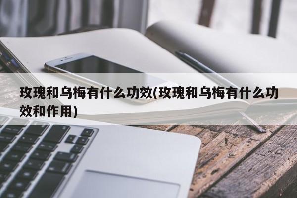 玫瑰和乌梅有什么功效(玫瑰和乌梅有什么功效和作用)
