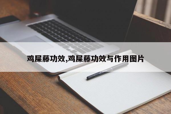 鸡屎藤功效,鸡屎藤功效与作用图片