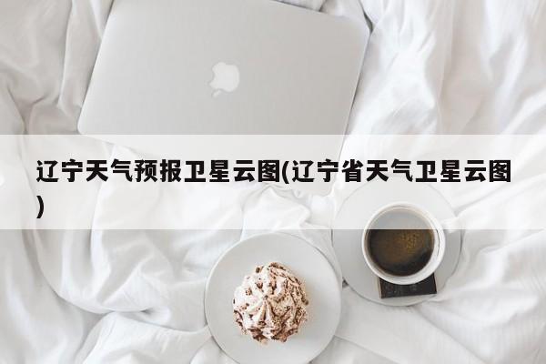 辽宁天气预报卫星云图(辽宁省天气卫星云图) 第1张