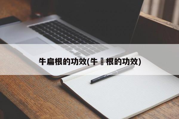 牛扁根的功效(牛搒根的功效)