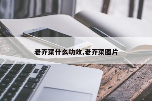 老芥菜什么功效,老芥菜图片