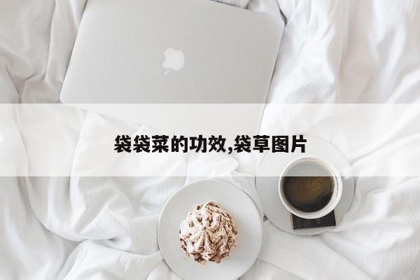 袋袋菜的功效,袋草图片