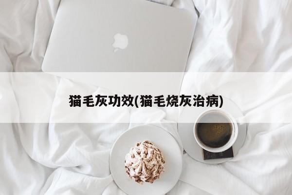 猫毛灰功效(猫毛烧灰治病)