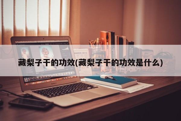 藏梨子干的功效(藏梨子干的功效是什么)