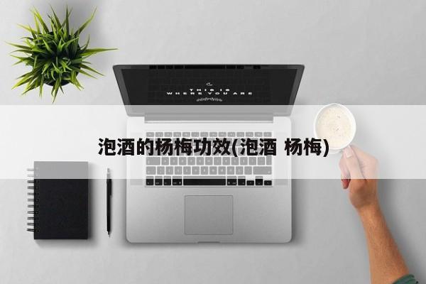 泡酒的杨梅功效(泡酒 杨梅)