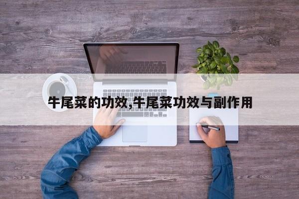 牛尾菜的功效,牛尾菜功效与副作用