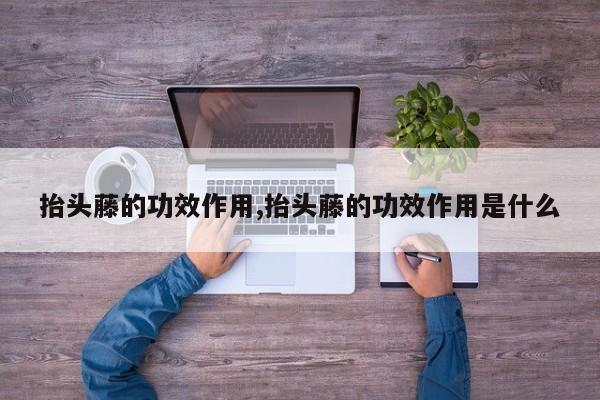 抬头藤的功效作用,抬头藤的功效作用是什么 第1张