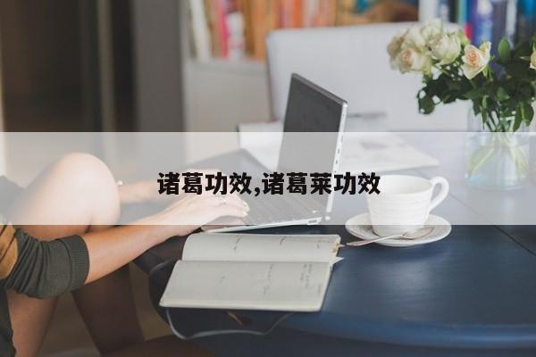 诸葛功效,诸葛莱功效