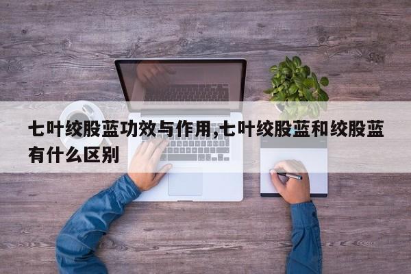 七叶绞股蓝功效与作用,七叶绞股蓝和绞股蓝有什么区别