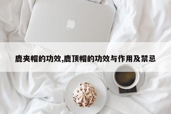 鹿夹帽的功效,鹿顶帽的功效与作用及禁忌 第1张