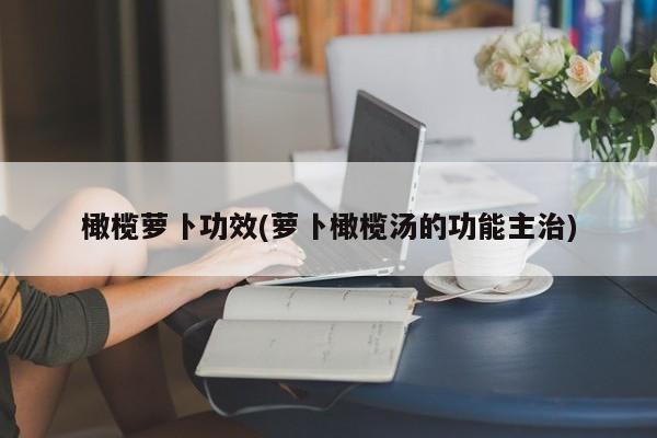 橄榄萝卜功效(萝卜橄榄汤的功能主治)