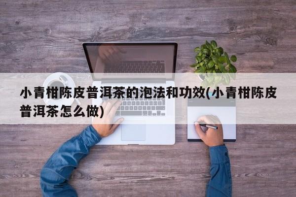小青柑陈皮普洱茶的泡法和功效(小青柑陈皮普洱茶怎么做)
