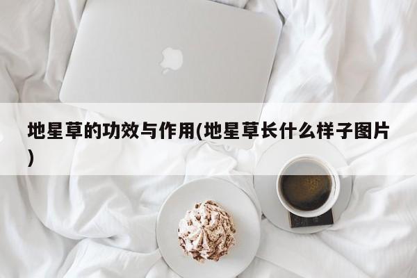 地星草的功效与作用(地星草长什么样子图片)
