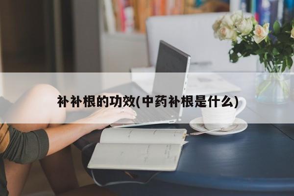 补补根的功效(中药补根是什么)