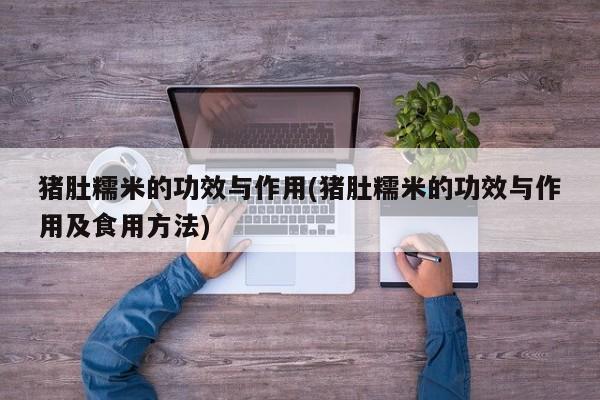 猪肚糯米的功效与作用(猪肚糯米的功效与作用及食用方法)