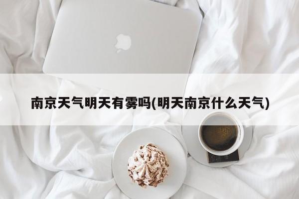 南京天气明天有雾吗(明天南京什么天气) 第1张