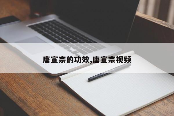 唐宣宗的功效,唐宣宗视频