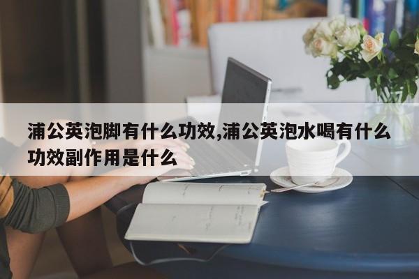 浦公英泡脚有什么功效,浦公英泡水喝有什么功效副作用是什么