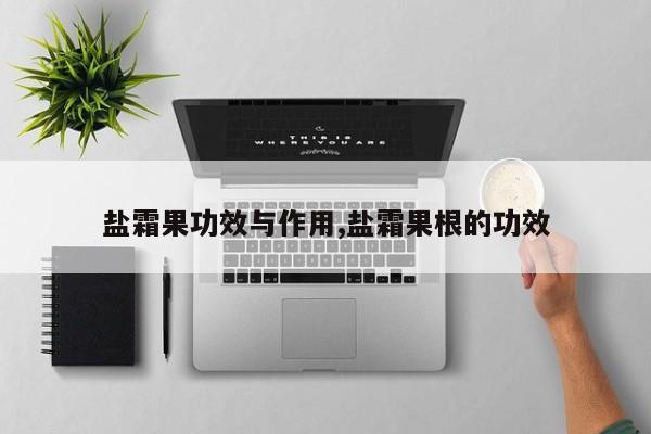 盐霜果功效与作用,盐霜果根的功效