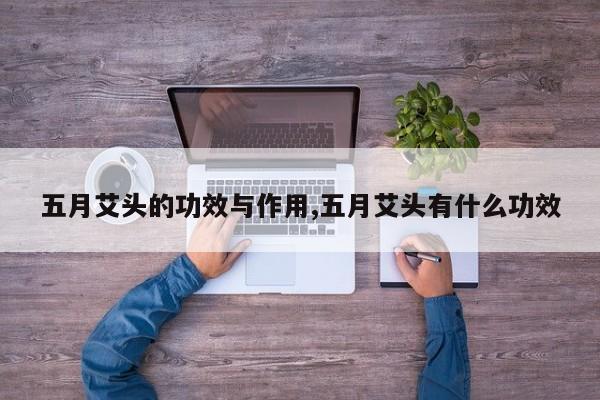 五月艾头的功效与作用,五月艾头有什么功效
