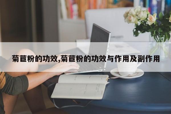 菊苣粉的功效,菊苣粉的功效与作用及副作用